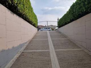 Zona