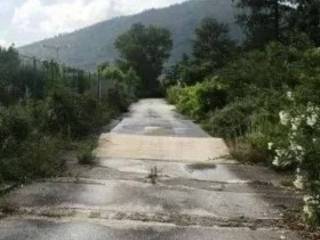 Zona