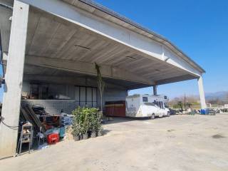 Zona