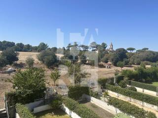 Vista