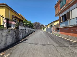 Zona