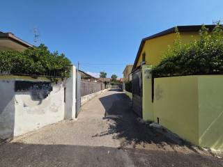 Zona