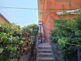 Zona