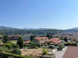 Vista