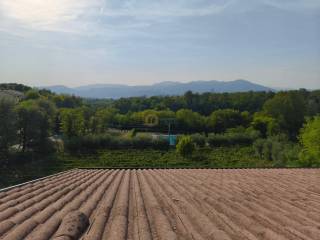 Vista