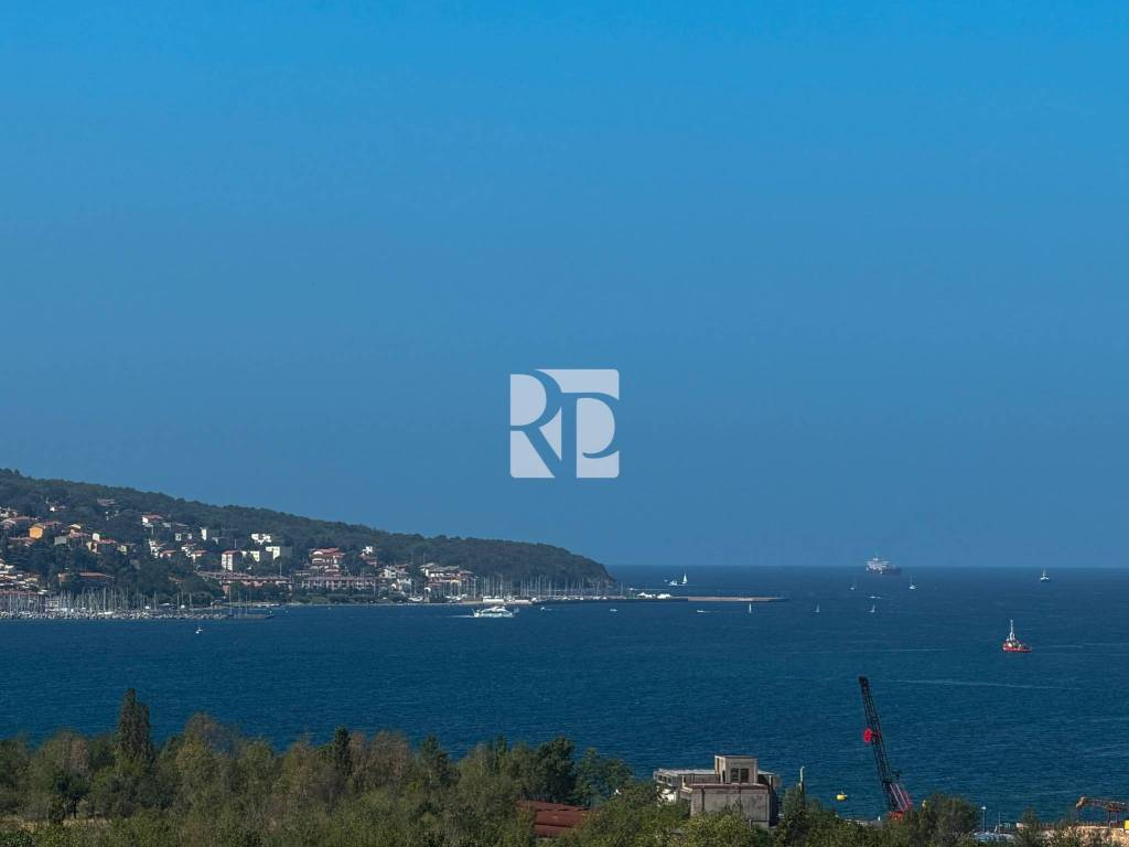 Vista