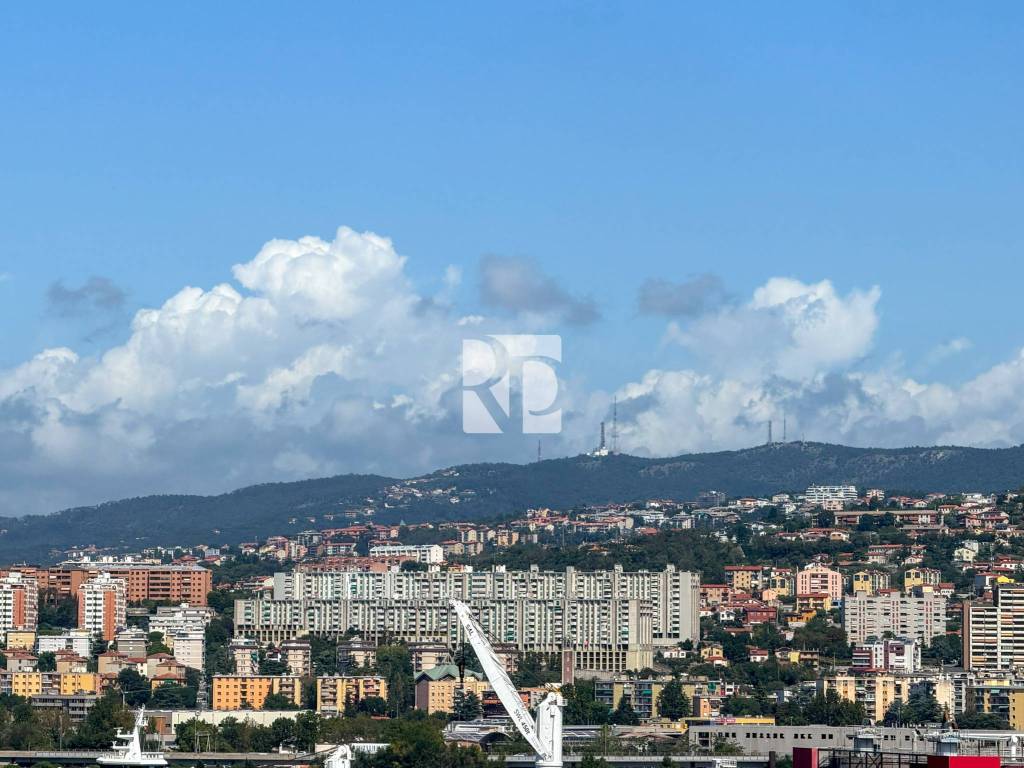 Vista