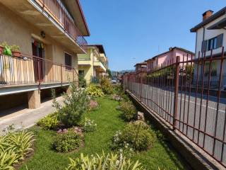Zona