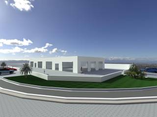 Zona