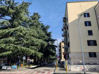 Zona