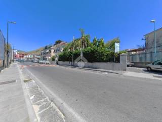Zona