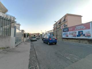 Zona