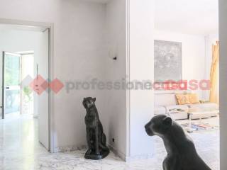 Ingresso