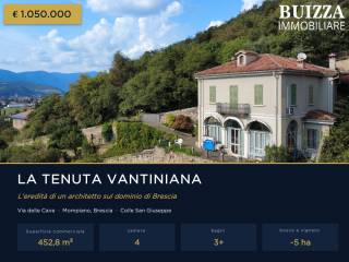 Vista