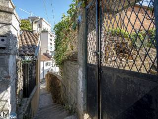 Zona
