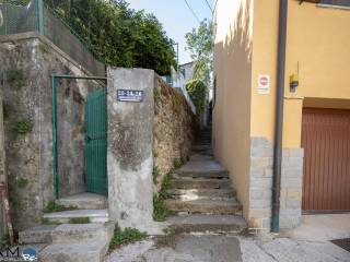 Zona