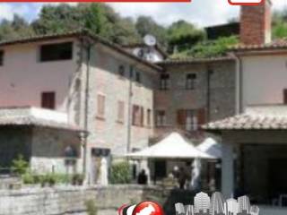 Zona