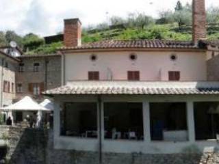 Zona