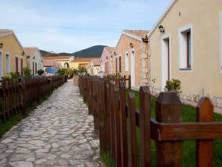 Zona