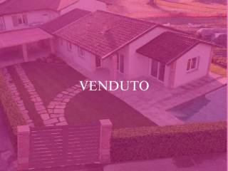 Zona