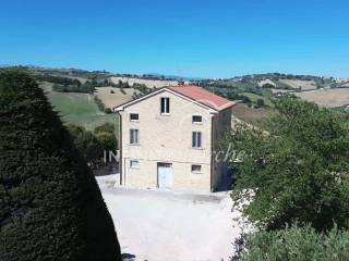 Vista