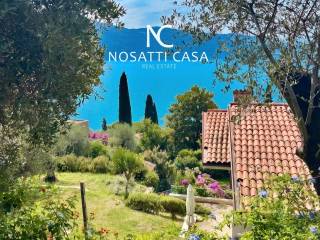 Vista