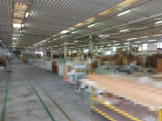 Magazzino