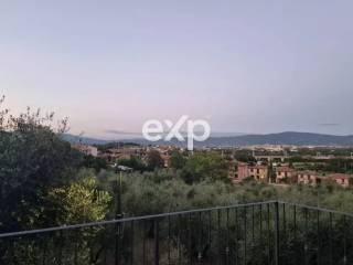 Vista