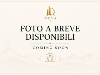 Altro