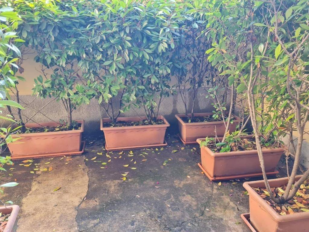 Appartamento in San Salvario, foto 9 di 14