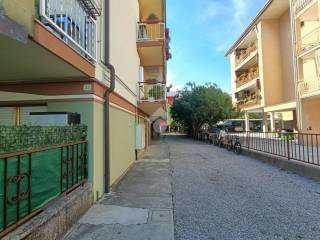 Zona