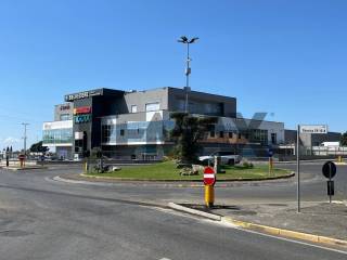 Zona