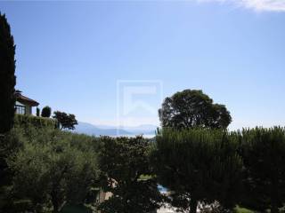 Vista