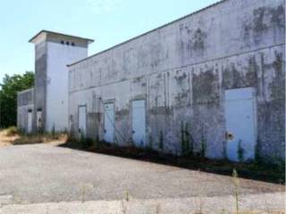 Zona