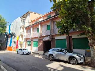 Zona
