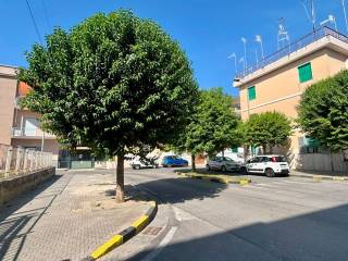 Zona