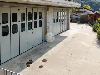 Ingresso
