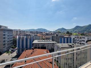 Vista