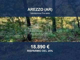 Zona