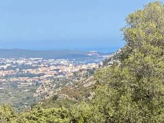 Vista