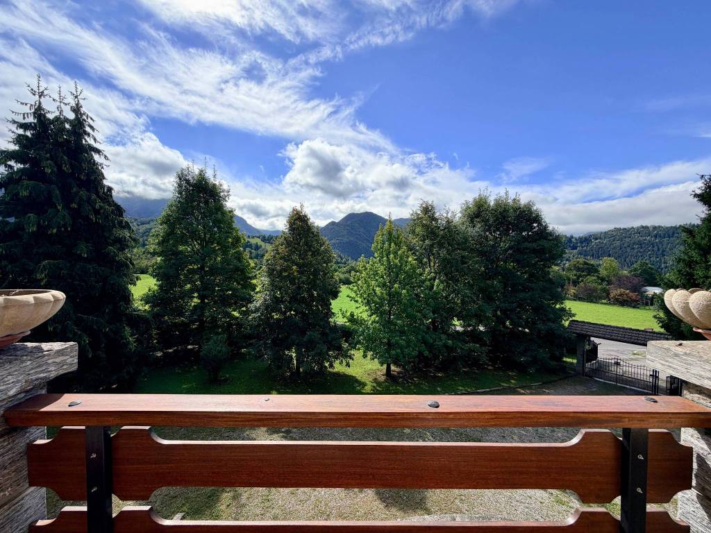Vista