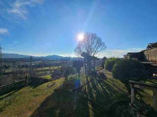 Vista