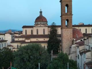 Zona