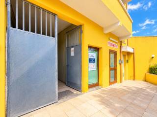 Ingresso