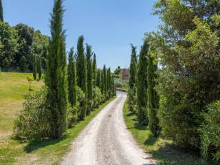 Ingresso