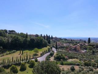 Vista