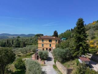 Vista
