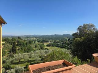 Vista