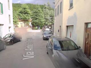 Zona