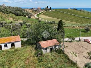 Vista